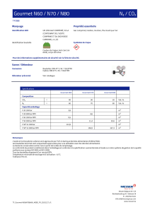 https://www.messer.be/documents/126306/88905751/Gourmet+N60+%26+N70+%26+N80_BE_FR.pdf/561e5e56-f3f9-89b1-fcd0-190d99b86d9f?version=1.1&t=1767714022210&documentThumbnail=1