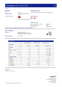 https://www.messer.be/documents/126306/88905751/Hydrog%C3%A8ne+5.0+%26+5.6+%26+6.0_BE_FR.pdf/db5af060-fd65-97f2-6b8d-7378cdadceab?version=1.1&t=1767713997640&documentThumbnail=1