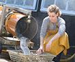 Fischverarbeitung und Logistik | © stock.adobe.com - auremar