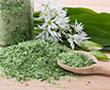 Gewürz- und Kräuterverarbeitung | © stock.adobe.com - Cora Müller
