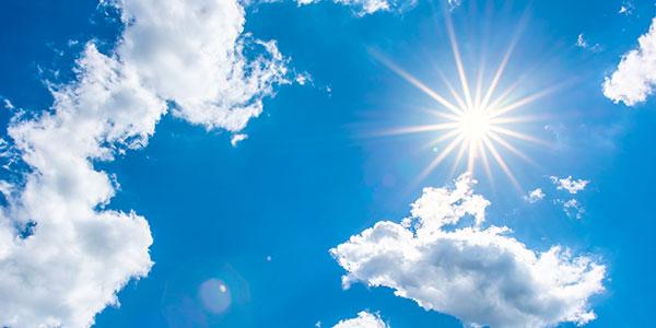 Optimale Wurzelversorgung bei Sommerhitze | © stock.adobe.com - Günter Albers