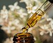 O2 für Pharma-Anbau | © stock.adobe.com - Wellness Visuals